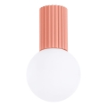 Kopalniška stropna svetilka HALO 1xG9/8W/230V pr. 12 cm IP44 roza