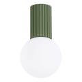 Kopalniška stropna svetilka HALO 1xG9/8W/230V pr. 12 cm IP44 zelena