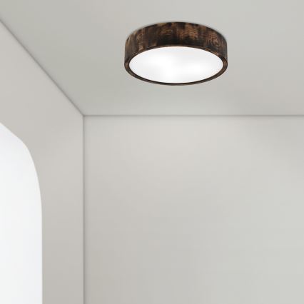 Kopalniška stropna svetilka OAK SMOKY 3xE27/15W/230V IP54 ø 37,5 cm hrast/rjava