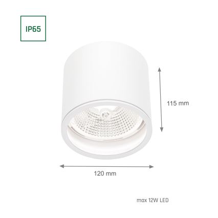 Kopalniški reflektor CHLOE AR111 1xGU10/12W/230V IP65 okrogla bela