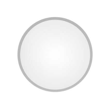 Kopalniško stropno svetilo CLEO s senzorjem, 2xE27/24W/230V, premer 30 cm, sivo, IP54