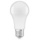 LED Antibakterijska žarnica A100 E27/13W/230V 6500K - Osram
