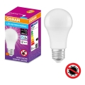 LED Antibakterijska žarnica A75 E27/10W/230V 6500K - Osram