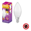 LED Antibakterijska žarnica B40 E14/4,9W/230V 2700K - Osram