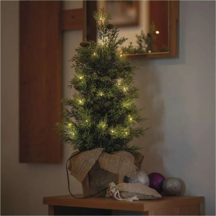 LED božična dekoracija 30xLED/3xAA IP44