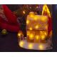 LED Božični okrasek LED/3xAA topla bela