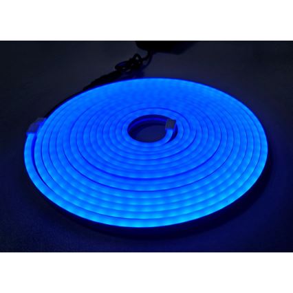 LED Fleksibilni trak NEON LED/10W/230V 5 m IP65 modra