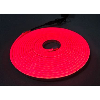 LED Fleksibilni trak NEON LED/10W/230V 5 m IP65 rdeča