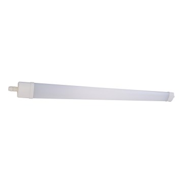 LED Fluorescenčna svetilka DAISY LED/40W/230V 4000K IP65