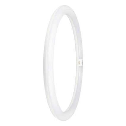 LED Fluorescentna cev G10q/24W/230V 6500K - Osram