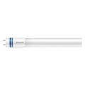 LED Fluorescentna cev Philips MASTER T8 G13/14W/80V 6500K 120 cm