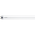 LED Fluorescentna cev Philips MASTER T8 G13/18W/110V 4000K 120 cm