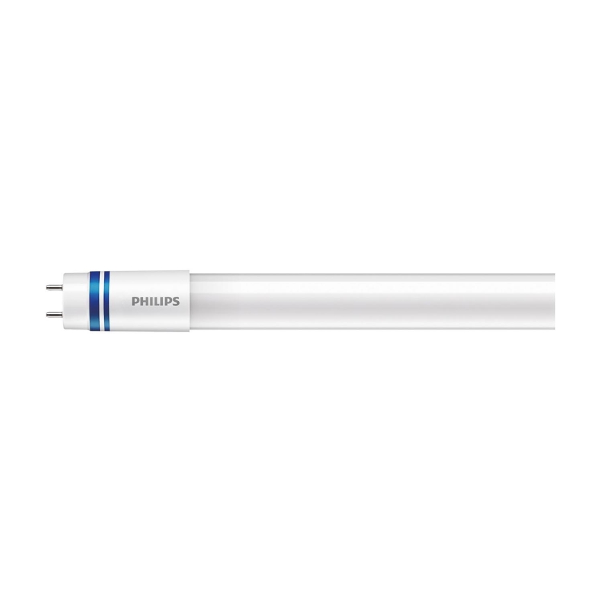 LED Fluorescentna cev Philips MASTER T8 G13/21,5W/230V 6500K 120 cm