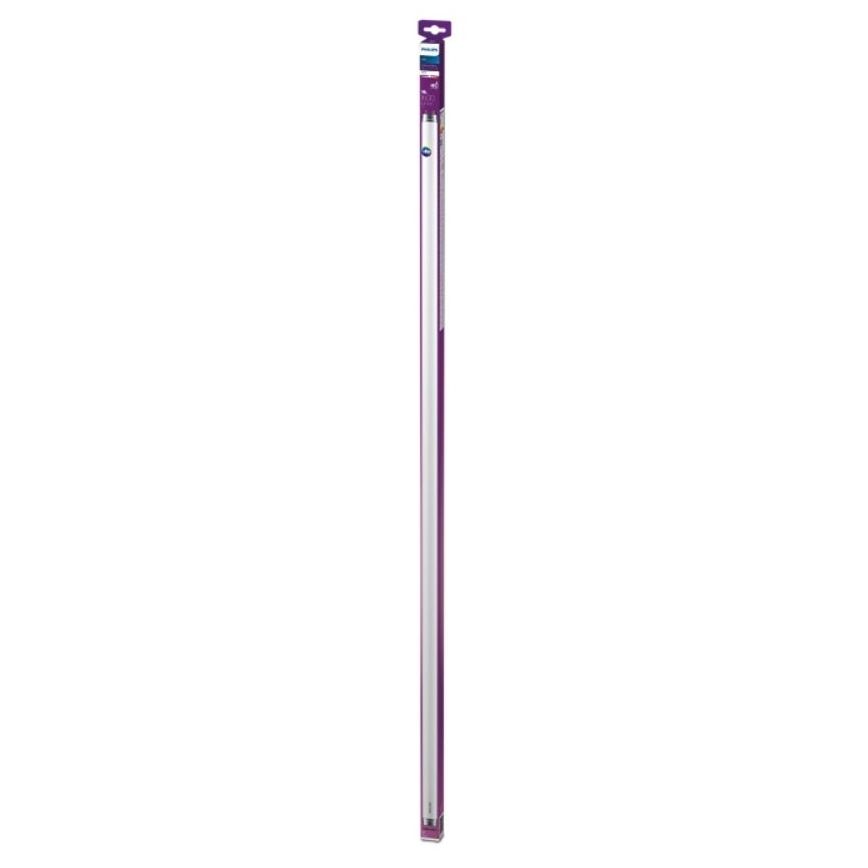 LED Fluorescentna cev Philips T8 G13/16W/230V 3000K 120 cm