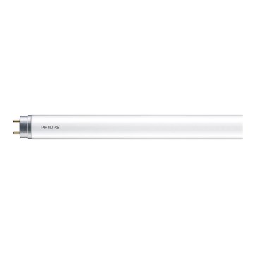 LED Fluorescentna cev Philips T8 G13/16W/230V 6500K 120 cm