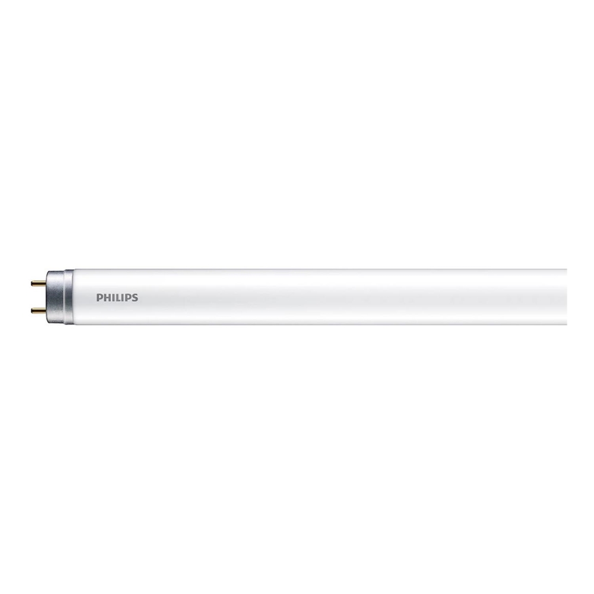 LED Fluorescentna cev Philips T8 G13/16W/230V 6500K 120 cm