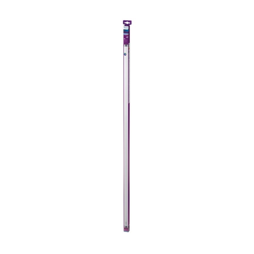 LED Fluorescentna cev Philips T8 G13/16W/230V 6500K 120 cm