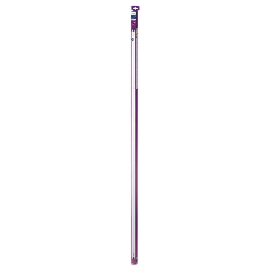 LED Fluorescentna cev Philips T8 G13/19,5W/230V 4000K 150 cm