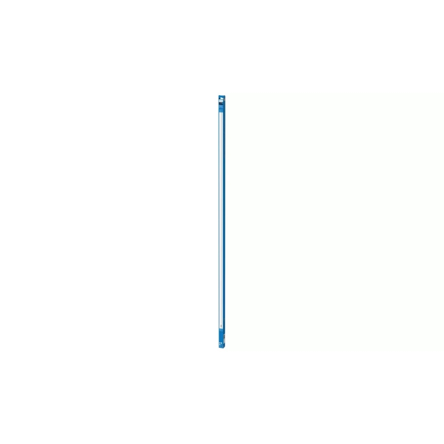 LED fluorescentna cev Philips T8 G13/31,5W/230V 3000K 150 cm