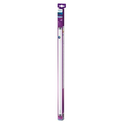 LED Fluorescentna cev Philips T8 G13/8W/230V 6500K 60 cm