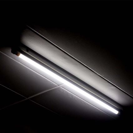 LED Fluorescentna cev T5 G5/16W/230V 6500K 120 cm