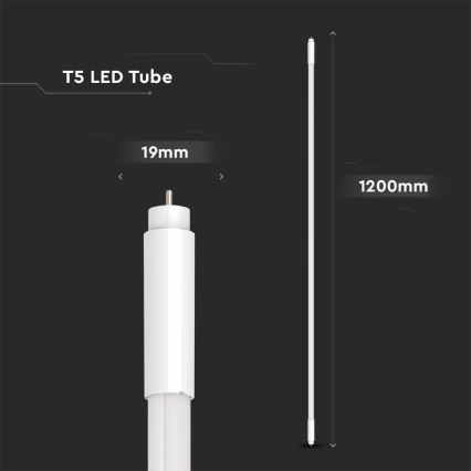 LED Fluorescentna cev T5 G5/16W/230V 6500K 120 cm