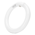 LED Fluorescentna cev T9 G24q-1/22W/230V 6500K - Aigostar