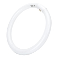 LED Fluorescentna cev T9 G24q-1/32W/230V 6500K - Aigostar