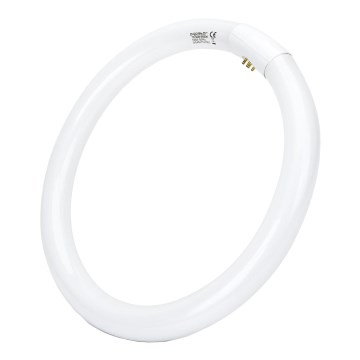 LED Fluorescentna cev T9 G24q-1/32W/230V 6500K - Aigostar