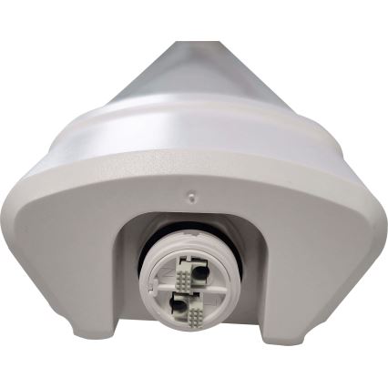 LED Fluorescenčna svetilka DAISY LED/40W/230V 4000K IP65