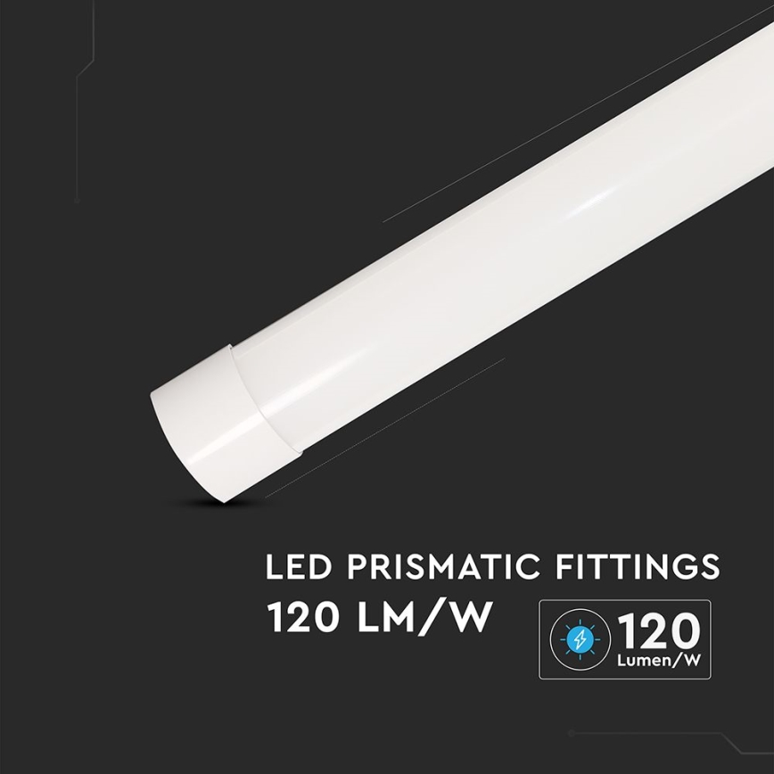 LED Fluorescentna svetilka LED/20W/230V 6500K 60 cm bela