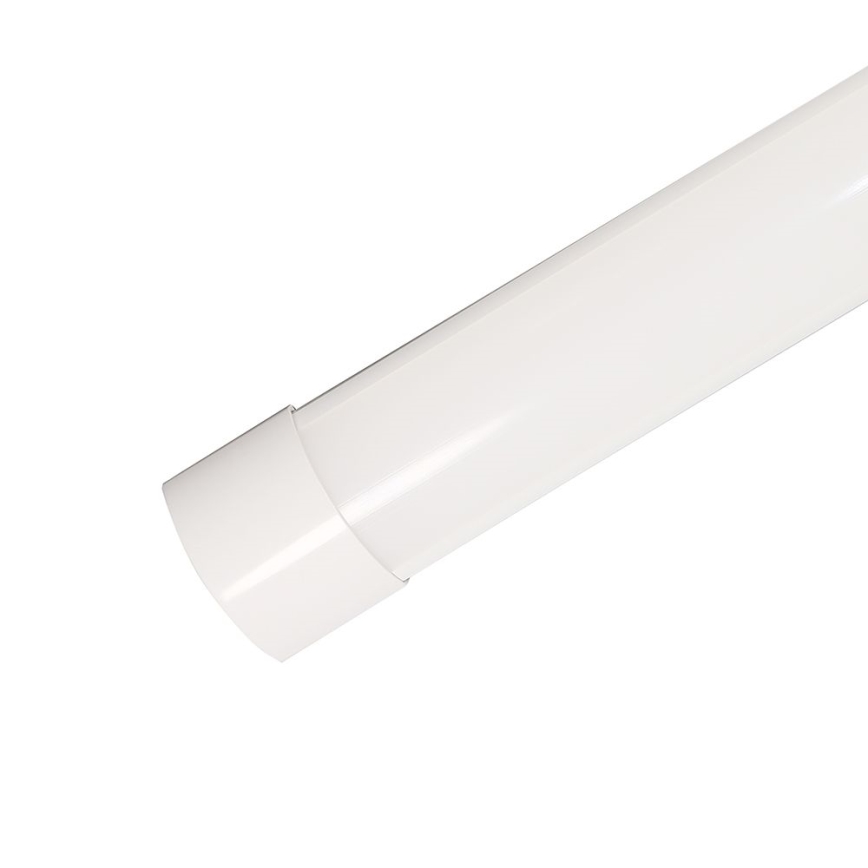 LED Fluorescentna svetilka LED/20W/230V 6500K 60 cm bela