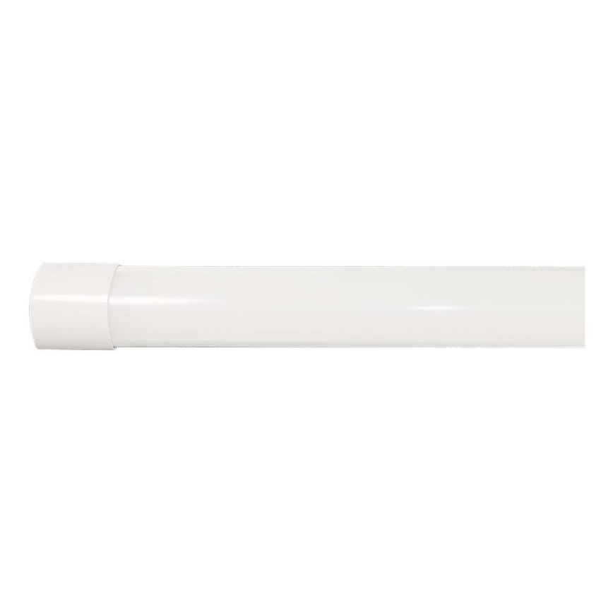 LED Fluorescentna svetilka LED/40W/230V 3000/4000/6500K 116 cm