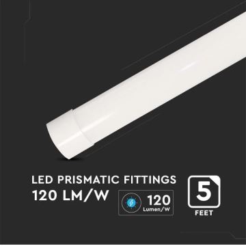 LED Fluorescentna svetilka SAMSUNG CHIP LED/50W/230V 4000K 150 cm