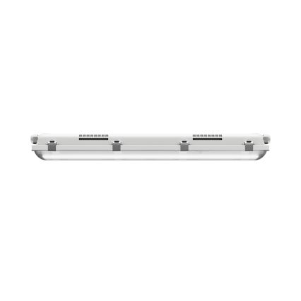 LED Industrijska fluorescentna svetilka LIMEA GIGANT PRO LED/12/21W/230V 4000K IK10 IP66 60 cm