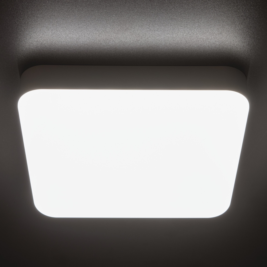 LED Industrijska stropna svetilka IPER LED/10W/230V IK10 IP65 kvadraten bela