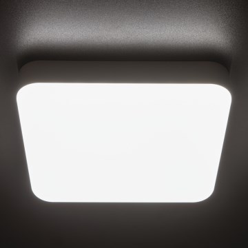 LED Industrijska stropna svetilka IPER LED/19W/230V IK10 IP65 kvadraten bela