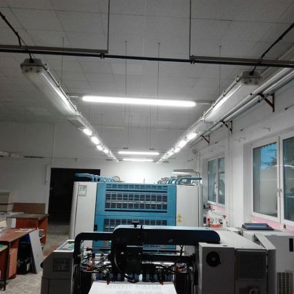 LED Industrijska svetilka LED/36W/230V IP40