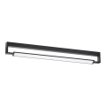 LED Kopalniška stenska svetilka DEKSTER LED/36W/230V IP44 črna