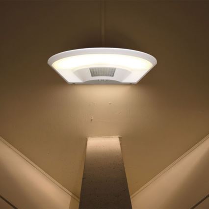 LED Kopalniška stenska svetilka s senzorjem LED/10W/230V 4000K IP54 bela