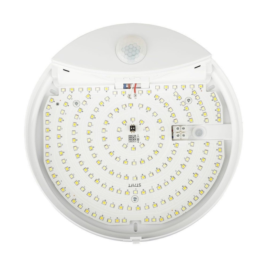 LED Kopalniška stenska svetilka s senzorjem SAMSUNG CHIP LED/15W/230V 3000/4000/6000K IP44 bela
