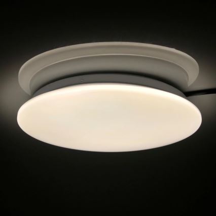 LED Kopalniška stropna svetilka ADAR LED/12W/230V IP44 4000K