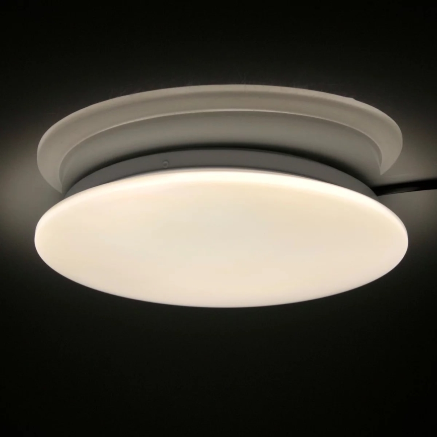 LED Kopalniška stropna svetilka ADAR LED/12W/230V IP44 4000K