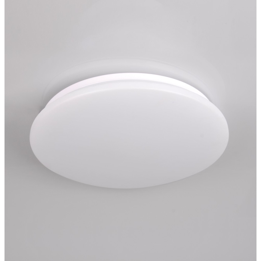 LED Kopalniška stropna svetilka ADAR LED/17W/230V IP44 4000K