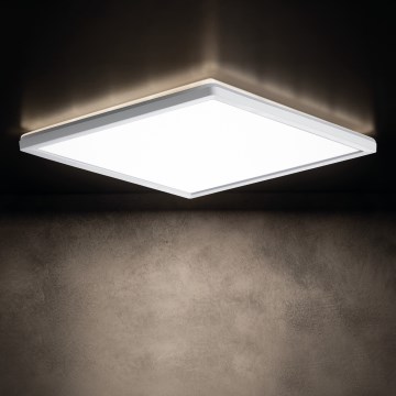 LED Kopalniška stropna svetilka AZPO LED/12,3W/230V IP54 bela