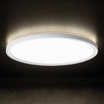 LED Kopalniška stropna svetilka AZPO LED/18,5W/230V pr. 29 cm IP54 bela