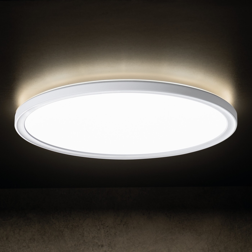 LED Kopalniška stropna svetilka AZPO LED/18,5W/230V pr. 29 cm IP54 bela