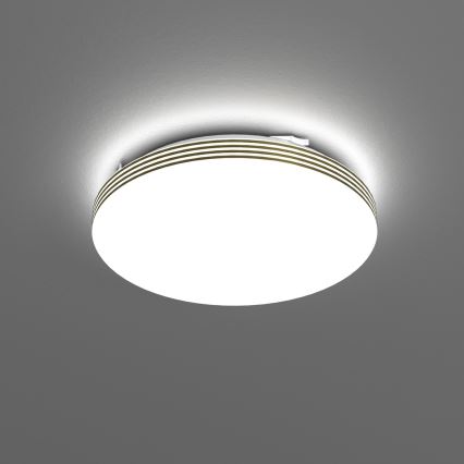 LED Kopalniška stropna svetilka BEVER LED/10W/230V 4000K pr. 26 cm IP44