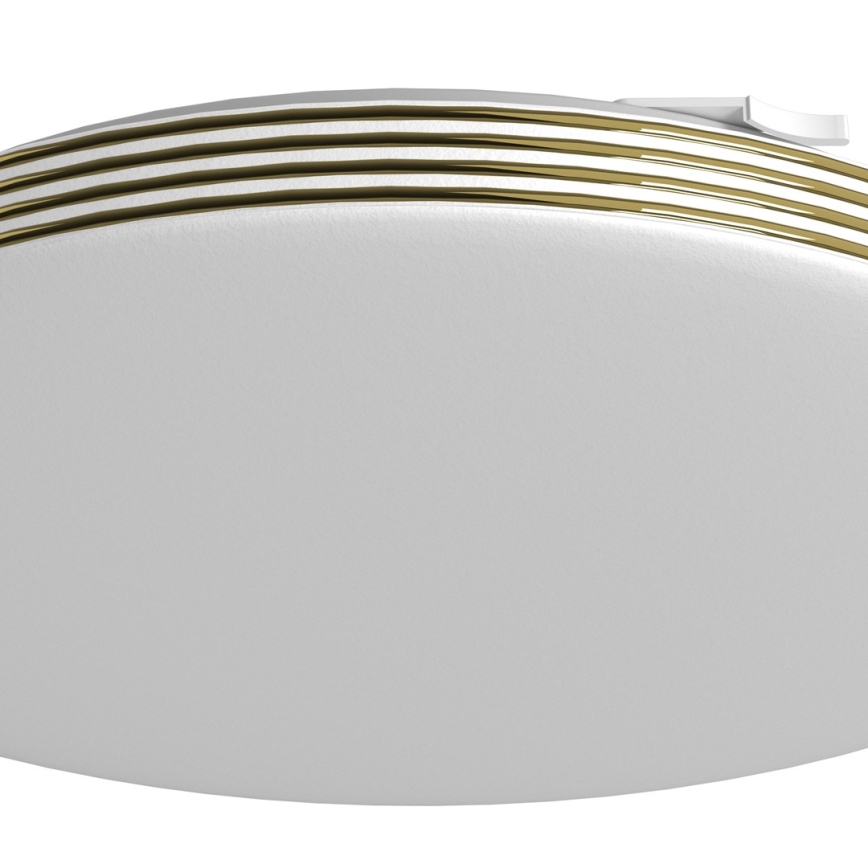 LED Kopalniška stropna svetilka BEVER LED/16W/230V 4000K pr. 33 cm IP44