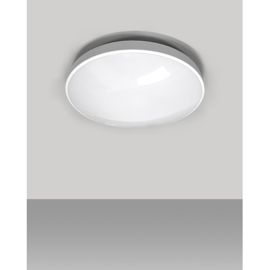 LED Kopalniška stropna svetilka CIRCLE LED/12W/230V 4000K pr. 25 cm IP44 bela